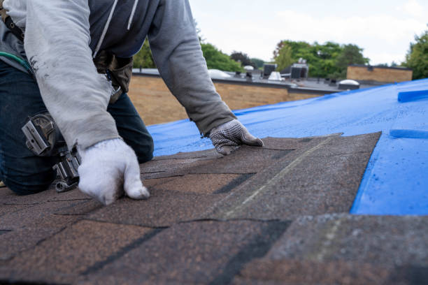 Best Shingle Roofing Installation  in Salem, IL