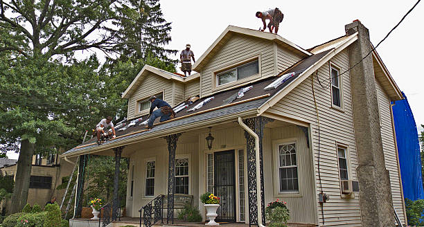 Best Roof Gutter Cleaning  in Salem, IL